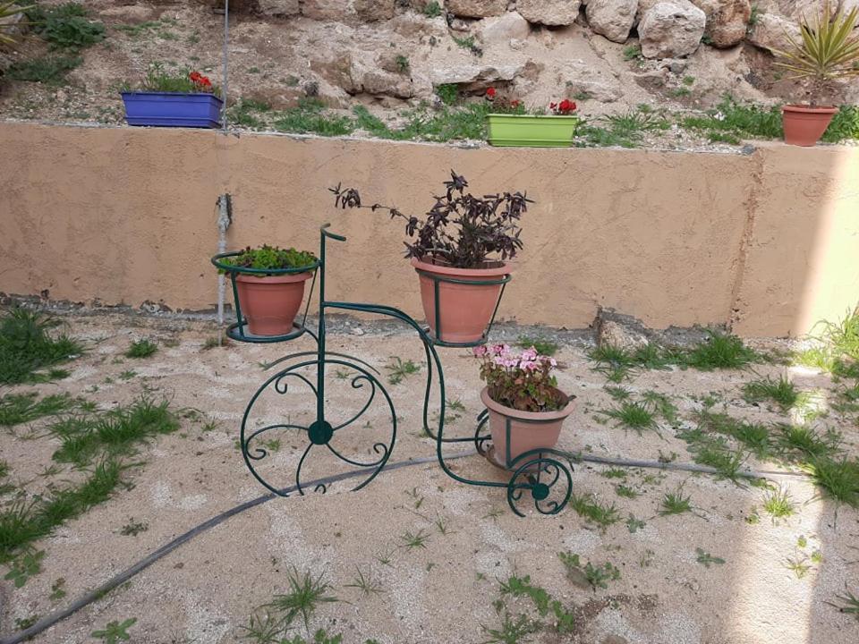 Emile Altwal Madaba Διαμέρισμα Εξωτερικό φωτογραφία
